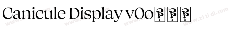Canicule Display v0字体转换